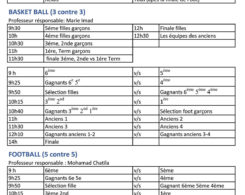 Programme-Adam-Hallal-2017