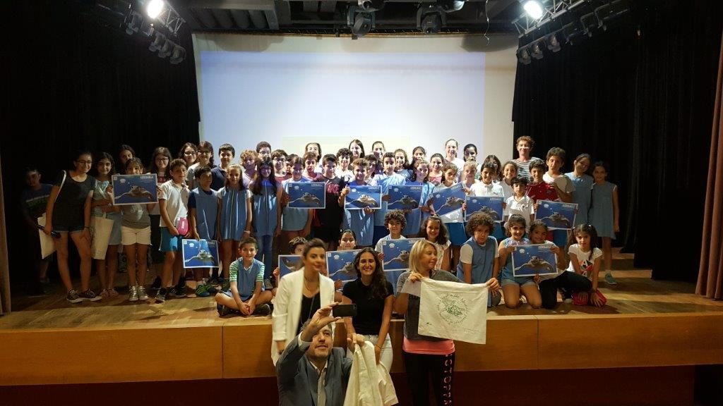 Sauve-tortue (13)