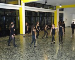 stage-danse-14