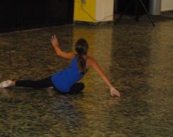 stage-danse-16