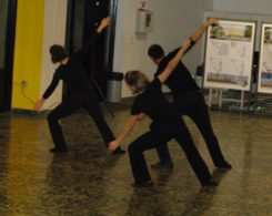 stage-danse-6