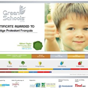 certificate-green-school