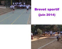 Slide153