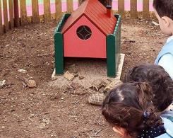 des tortues à la maternelle