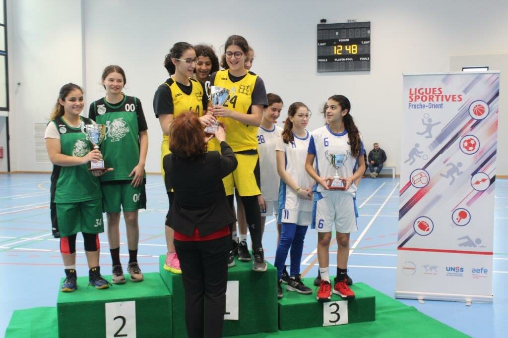 ligue (6)