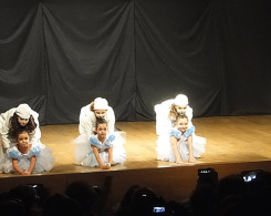 spectacle de ballet (5)