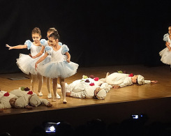 spectacle de ballet (6)