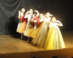 spectacle de ballet (7)