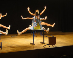 spectacle de ballet (9)