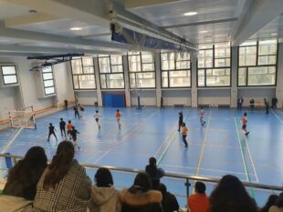 CVL (4)