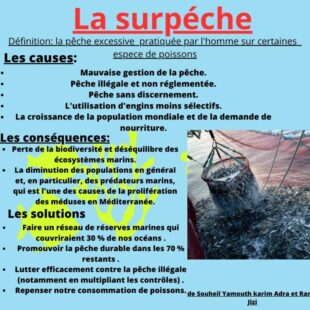 La surpeche (7)
