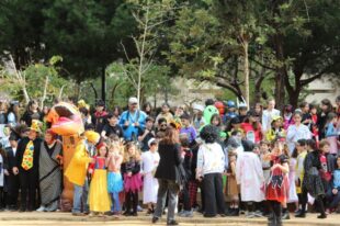 Le carnaval du printemps à l’école primaire (7)