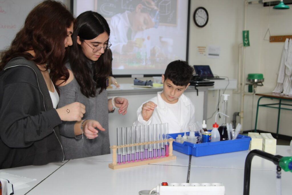 Les petits scientifiques (1)