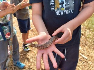 Les_éco_délégués_du_CPF_visitent_la_réserve_naturelle_de_Mtein (4)