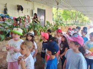 Sortie_à_la_ferme_de_Kfarchima (2)