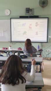 conflits-sd (3)