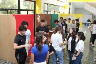 elections (5)