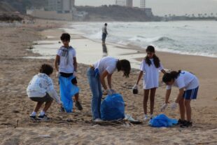 lutte-contre-le-plastique (8)