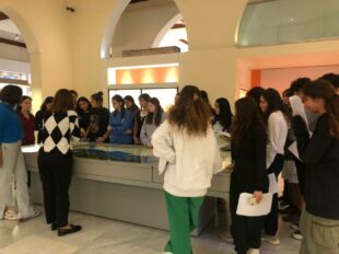 musee arch AUB (3)