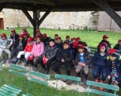 voyage des CM1B en Bourgogne (4)