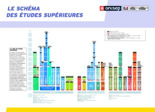 Schema_des_etudes_superieures_2019-2020