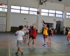 basket1-3