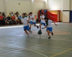 basket2-4