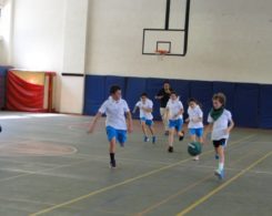 basket2-5