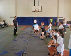 gym-artistique-3