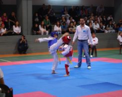 taekwondo-1