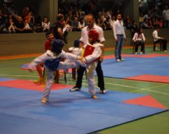 taekwondo-4