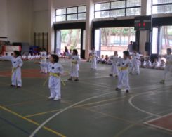 taekwondo3-13