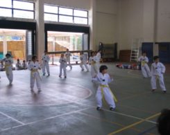 taekwondo3-14