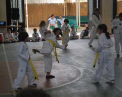 taekwondo3-15