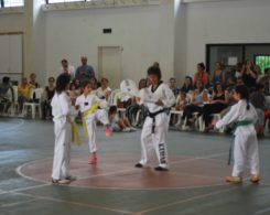 taekwondo3-17