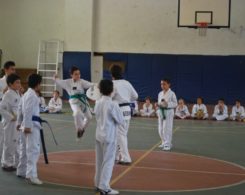 taekwondo3-18