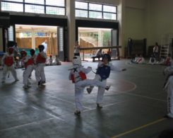 taekwondo3-19