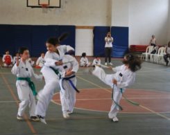 taekwondo3-21