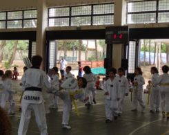 taekwondo3-29