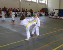 taekwondo3-30