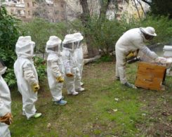 Sortie abeilles (18)