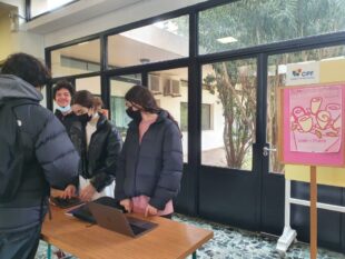 operation red rose (4)