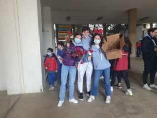 operation red rose (6)