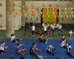 gym art primaire (1)