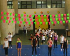 gym art primaire (10)