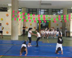 gym artistique (11)