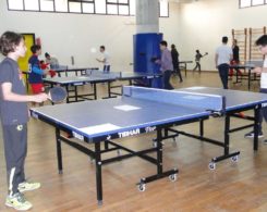 ping pong (2)