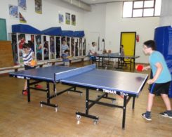 ping pong (4)