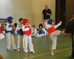 taekwondo (1)