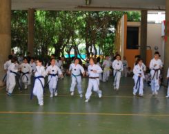 taekwondo (10)